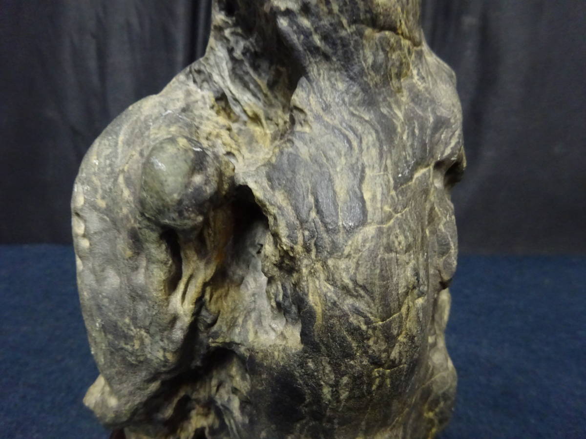水石 【T30 盆石 鑑賞石 只見川 姿石 たぬき 狸 台付き 高19cm 2.6kg
