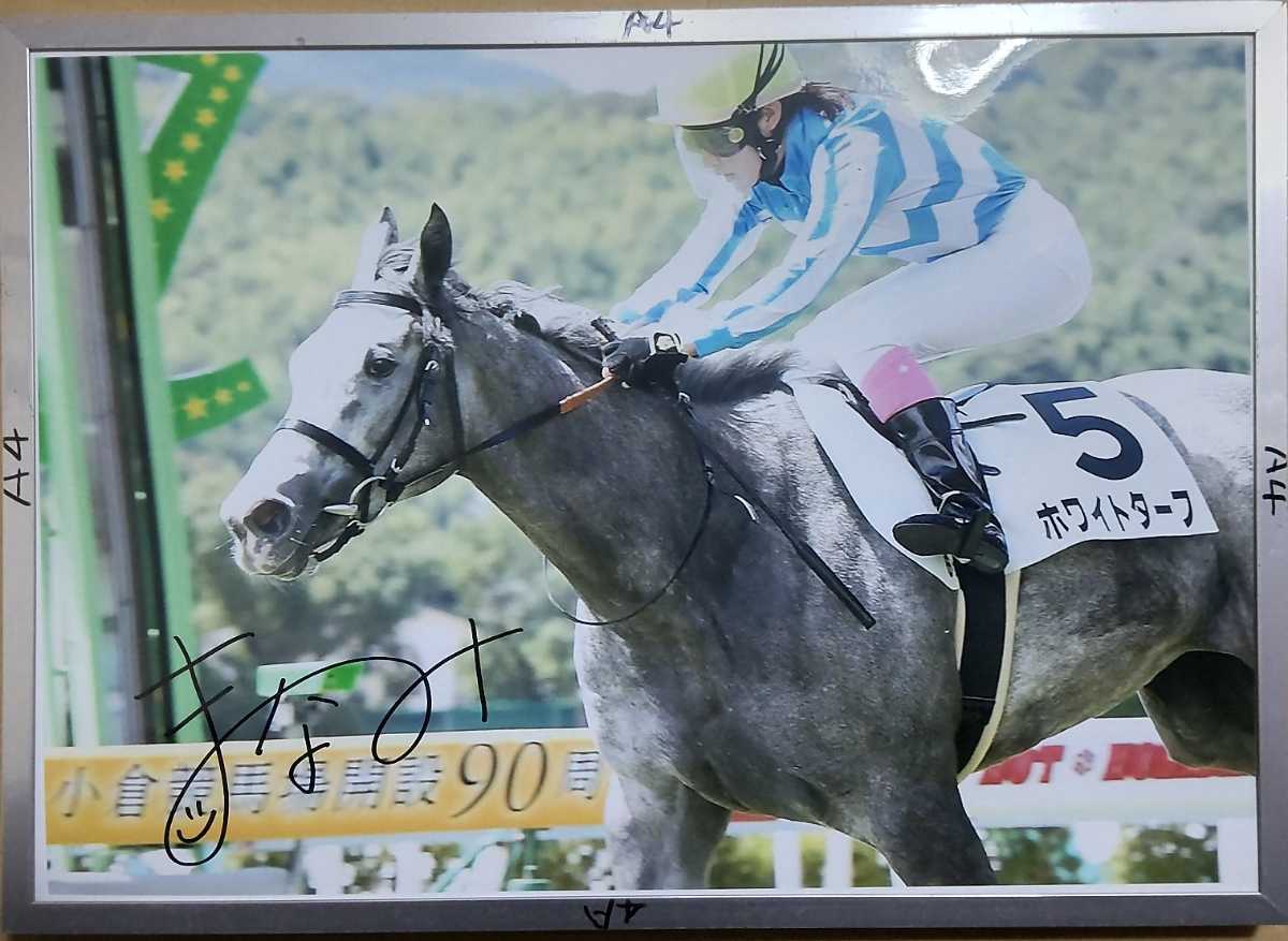 JRA ウオッカ号 ヒーロー列伝ポスター B3 | THEPARKCOMPANIES.COM