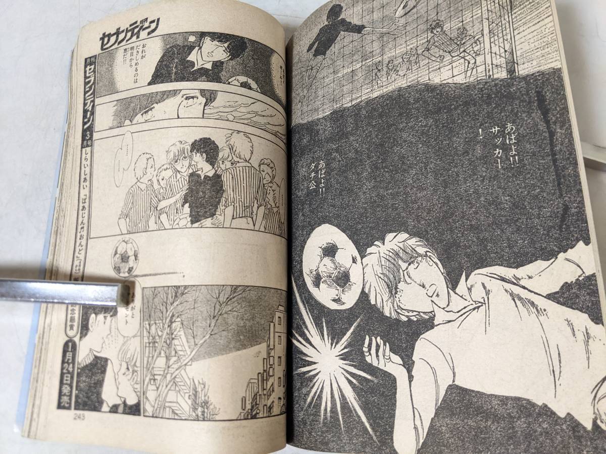 漫画 月刊セブンティーン8月号 1981年(昭和56年)8月1日号/少女漫画雑誌
