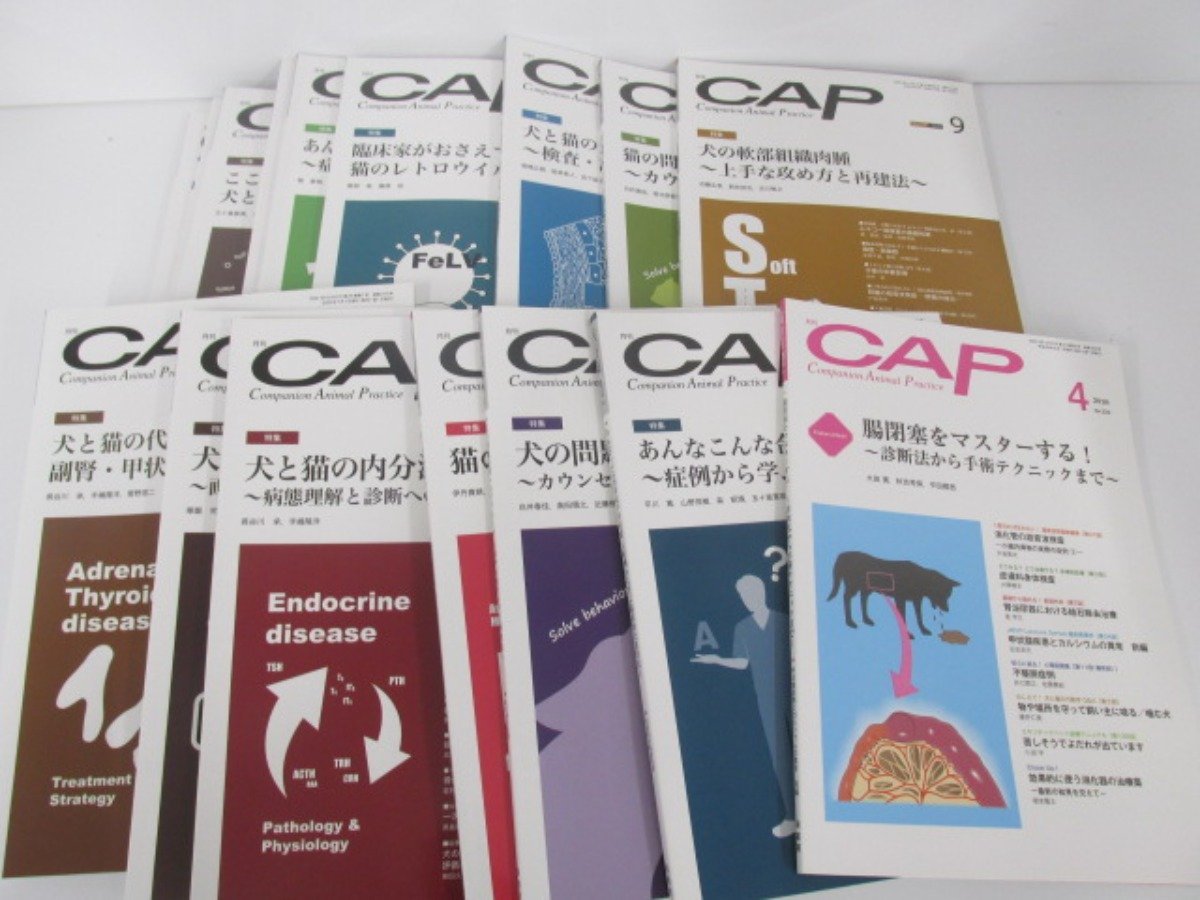 北辰会 鍼灸臨床能力 北辰会方式 一般社団法人 図解 院長 | ペット協会 