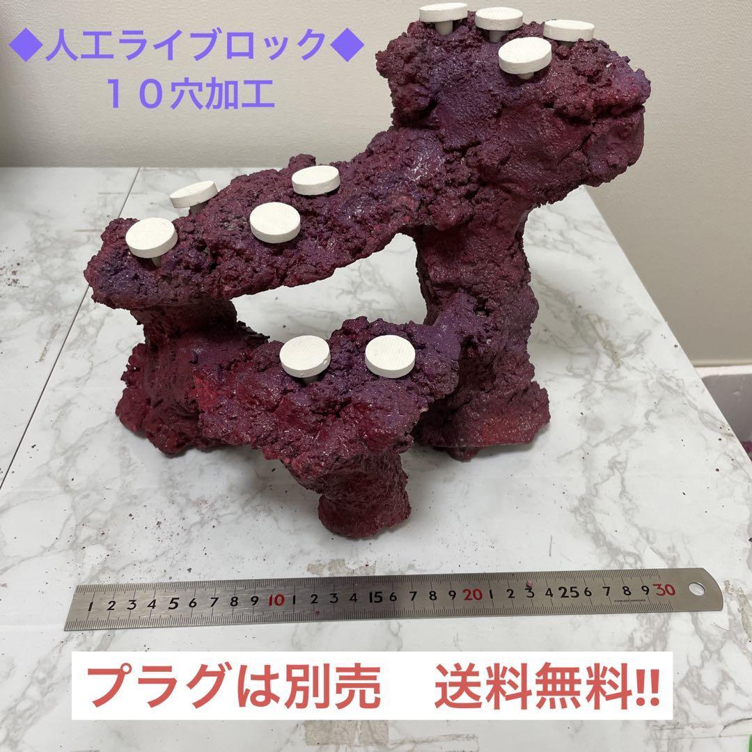 【一点物】人工ライブロック　フラグ穴10加工　004