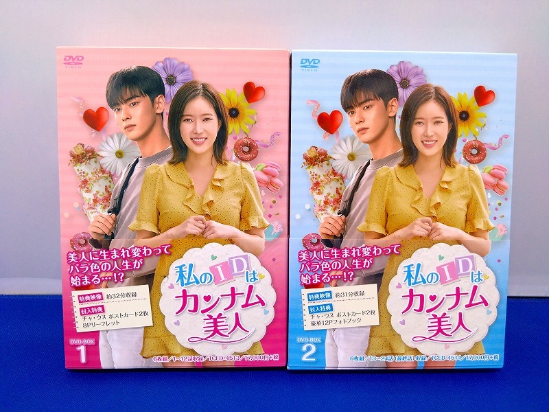 DVD 訳あり 王と私 ノーカット完全版 レンタルDVD 韓国ドラマ 全巻完結