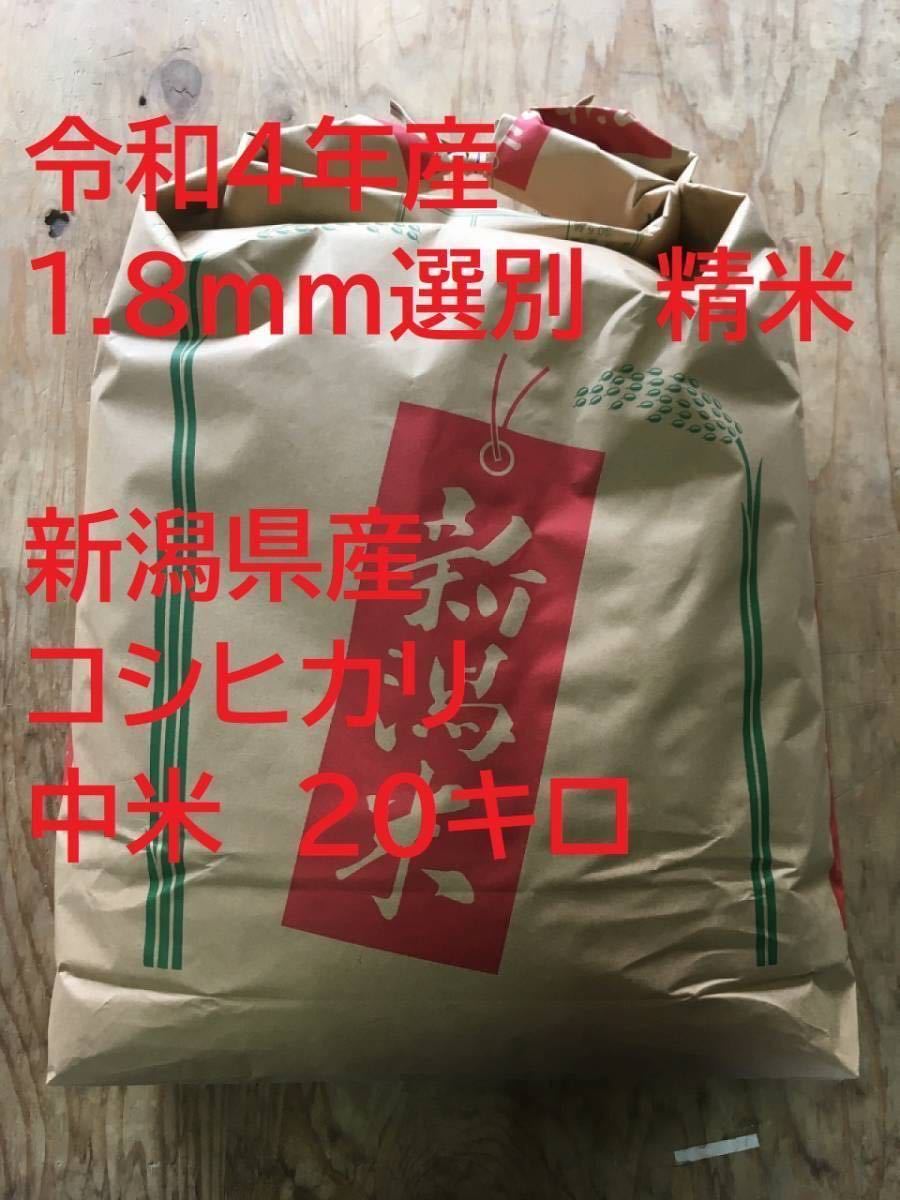 食品 コシヒカリ 中米 20キロ