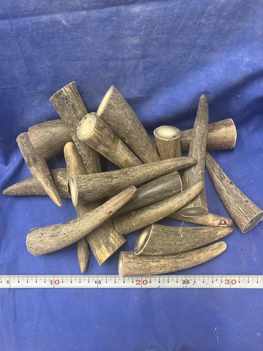 オランダ水牛1ｋｇ印鑑印材実印漁具疑似餌ルアー彫刻根付