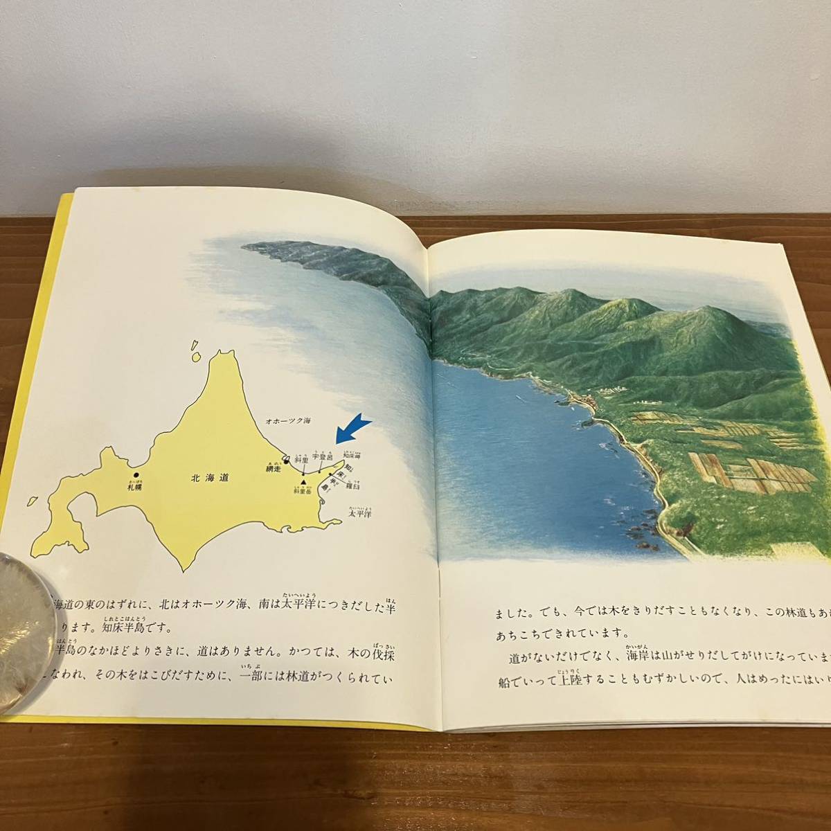 221203 月刊たくさんのふしぎ 1989年6月号「ヒグマのくる川」稗田一俊