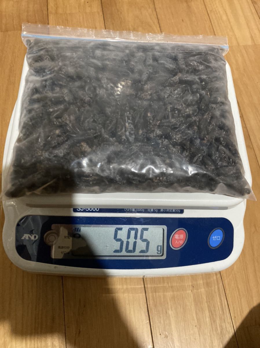 最安値，低価 冷凍クロコオロギミックス 約1〜2.3cm送料無料 1，
