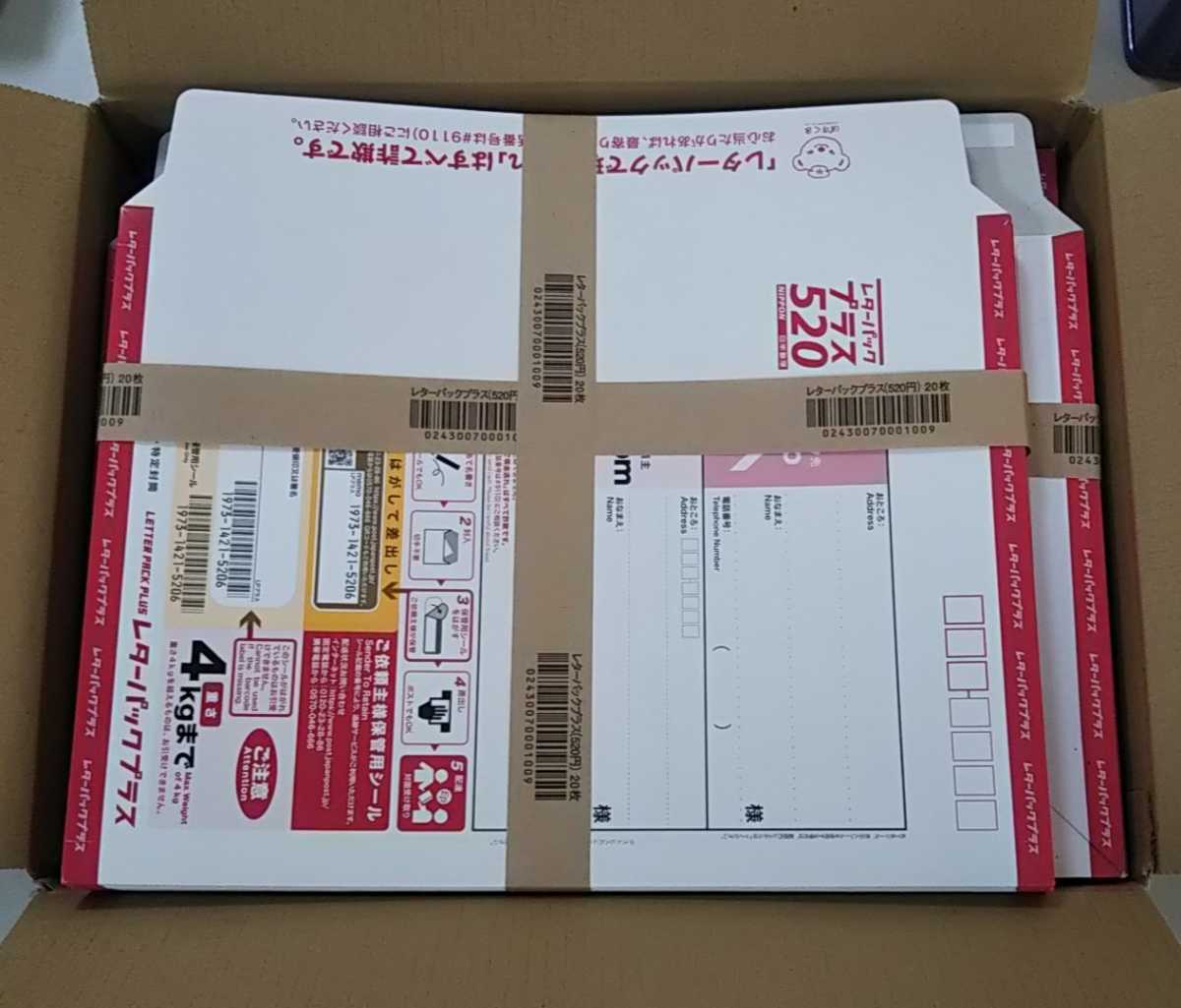 100枚一括)レターパックプラス 折らずに100枚 レターパックプラス 帯
