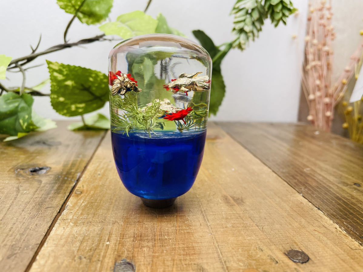 新品，本物保証 水中花 シフトノブ 金魚のかくれんぼ(シフトノブ)｜売買されたオークション情報、yahooの商品情報をアーカイブ公開 - オークファン シフトノブ