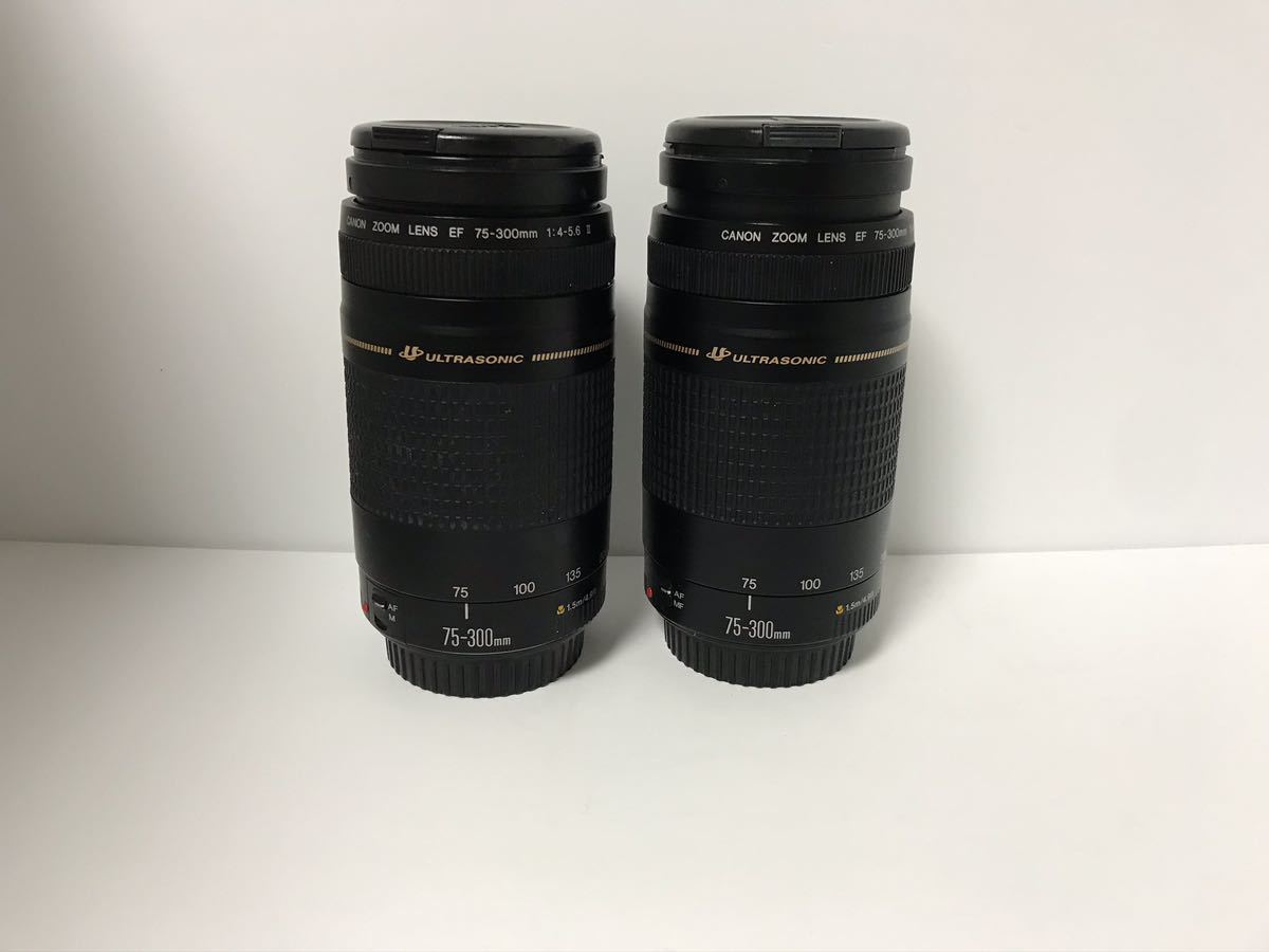2セット）望遠レンズ☆キャノン Canon EF 75-300㎜ 【公式通販】
