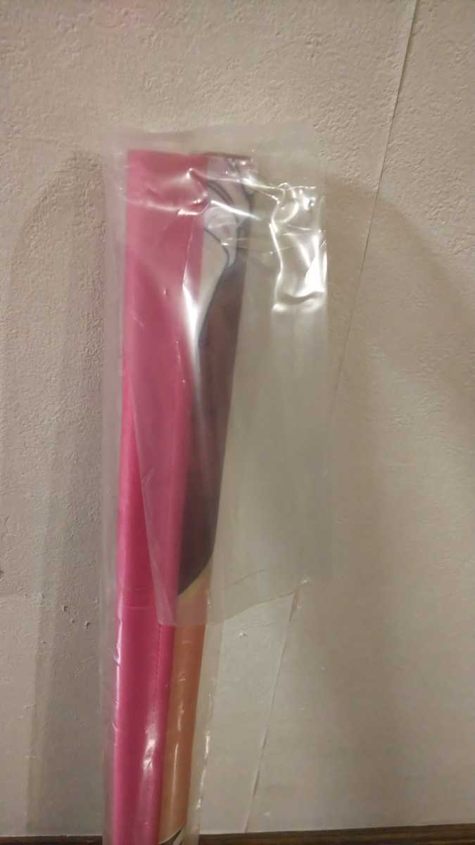 マケン姫っ!-MAKEN-KI!- 第24巻 とらのあな限定版 同梱典 二条秋 B2  