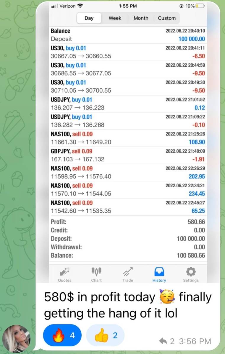 FX EA 自動売買 高勝率 低DD サポートなし 格安販売 口座縛りなし 設定