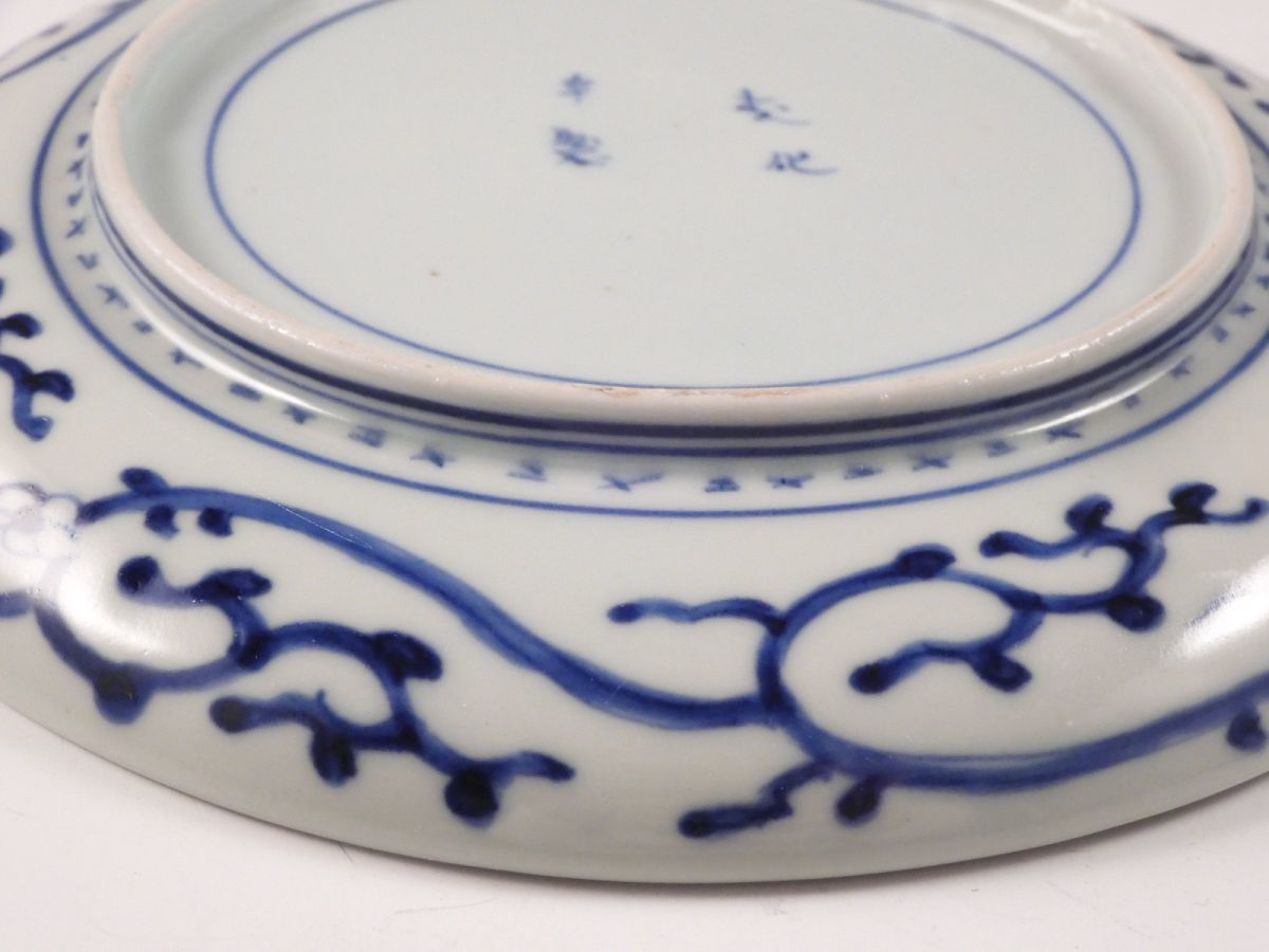 ○栄○古伊万里 染付 蛸唐草文 飾皿 18.4cm 江戸期