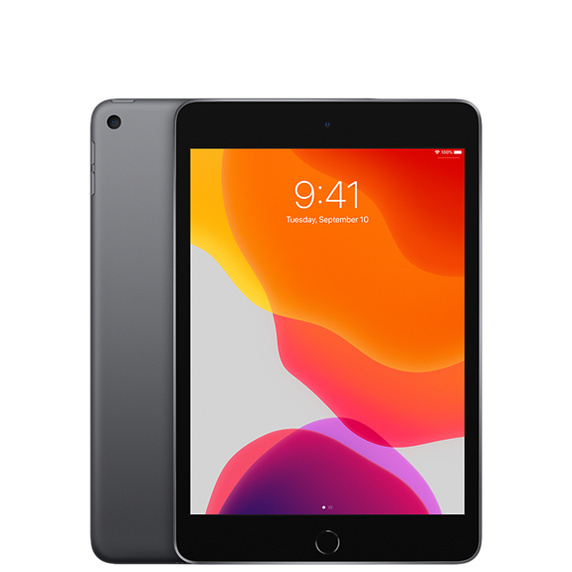 iPad mini 5 Wi-Fi 64GB (2019) スペースグレイ【中古】 【公式通販】