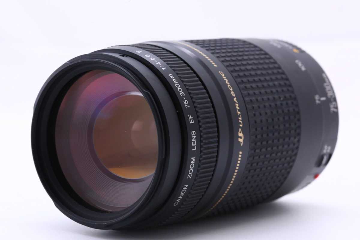 ☆実用良品☆ キヤノン Canon EF 75-300mm F4-5.6 Ⅱ USM #8319 美品
