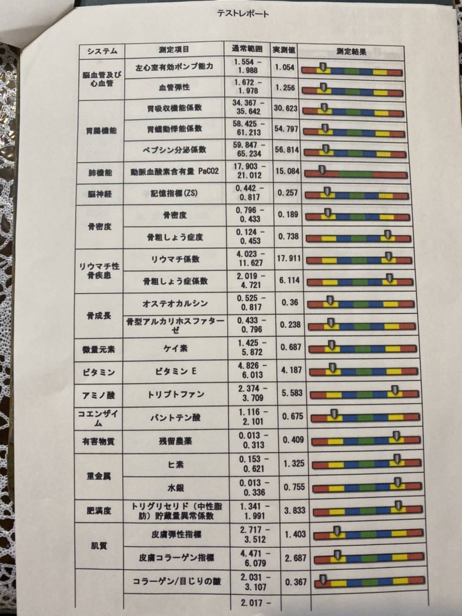 QRM Health Analyzer（量子磁気共鳴ヘルスアナライザー）☆ノートPC