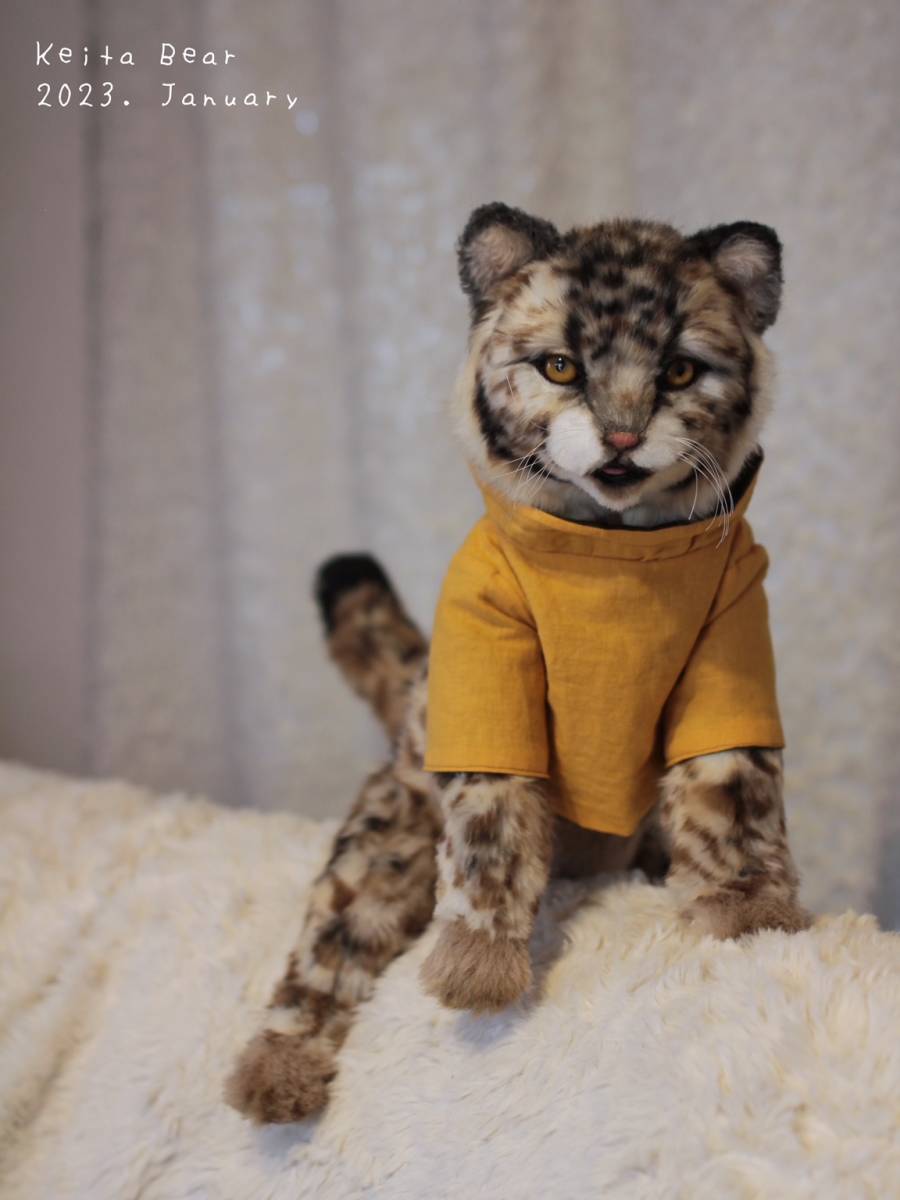 テディベア　ケイタベア　KEITABEAR テディベア☆KEITA BEAR トイスケルトン入り遊べる野生猫科シリーズ