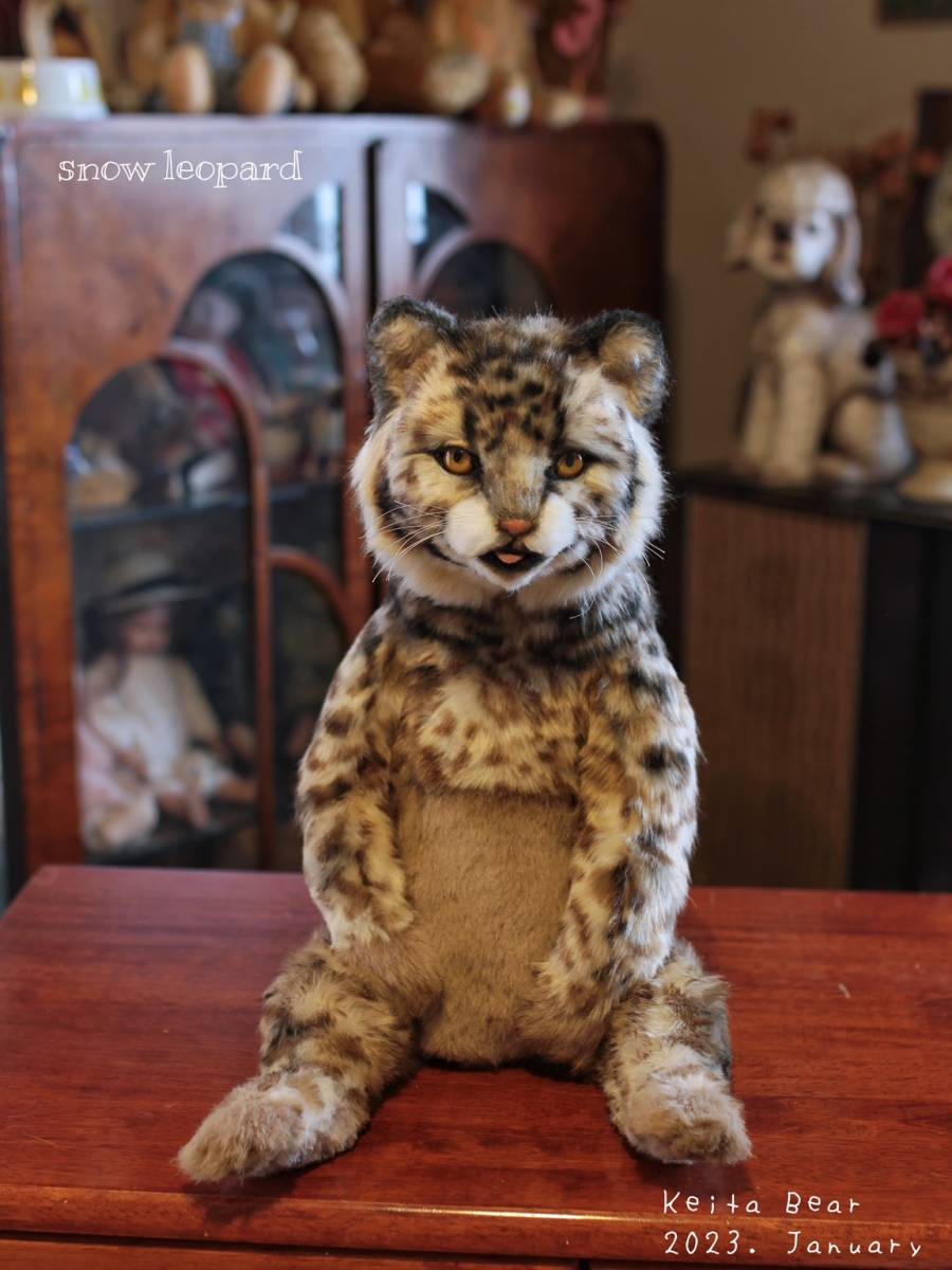 テディベア☆KEITA BEAR トイスケルトン入り遊べる野生猫科シリーズ