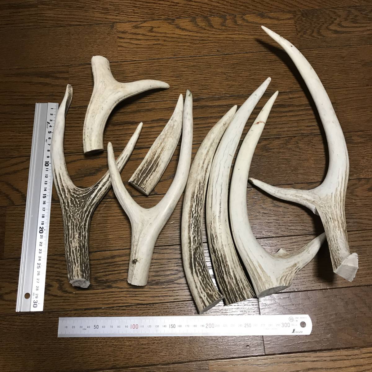 鹿の角 .: エゾシカ 角 訳あり鹿の角 端材B エゾシカの角