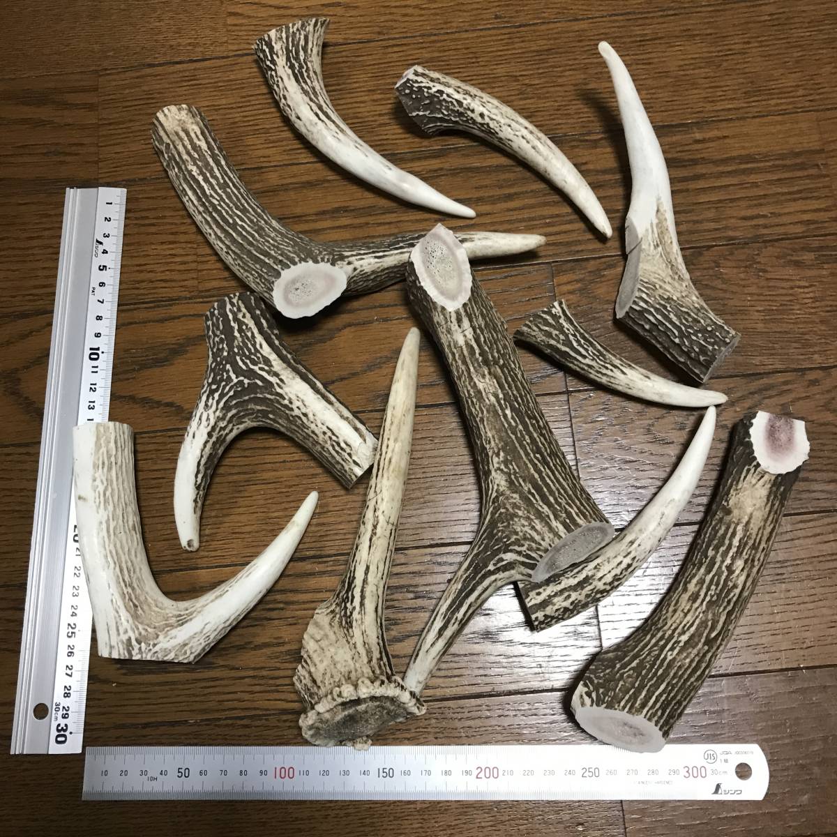 鹿の角 .: エゾシカ 角 訳あり鹿の角 端材B エゾシカの角