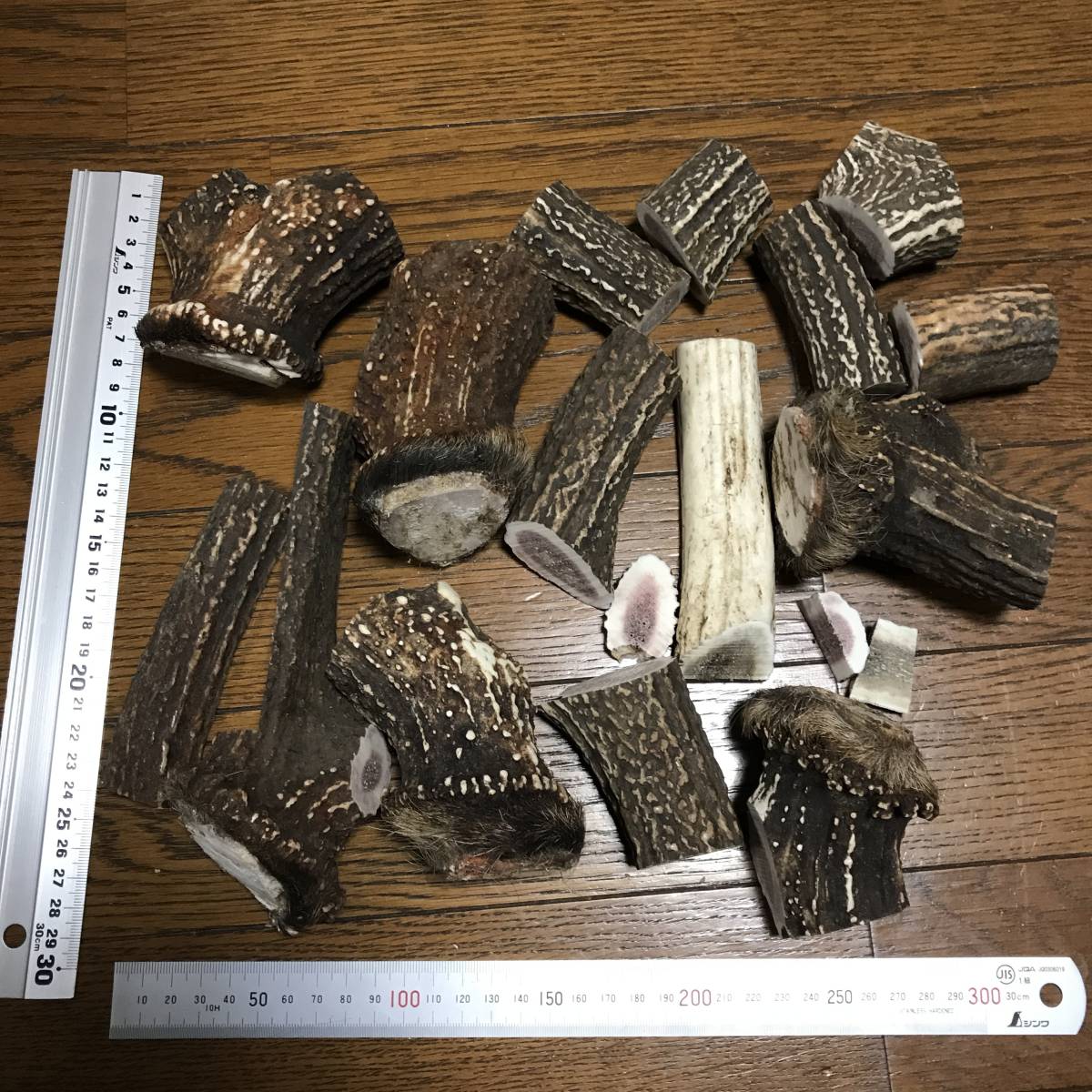 鹿の角 .: エゾシカ 角 訳あり鹿の角 端材B エゾシカの角