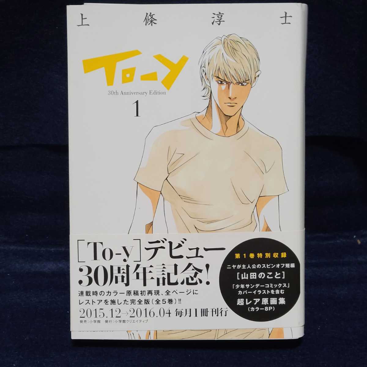 古本・帯あり】TO-Y 1巻○30th Anniversary