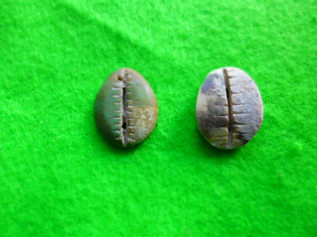 中国古銭・古代銭・石貝貨2種(アジア)｜売買されたオークション情報