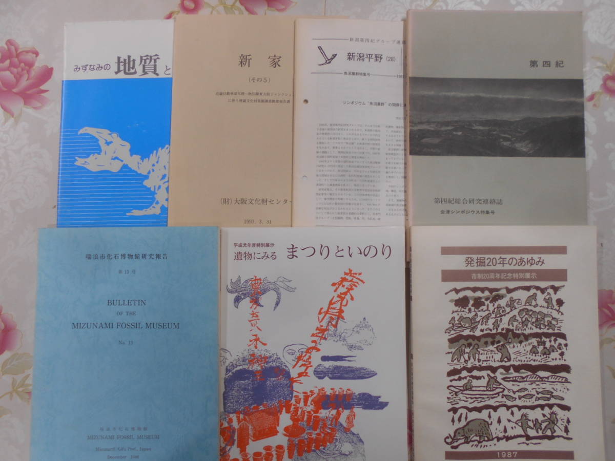 J▲/考古学 調査報告書関連 23冊まとめ売り/埋蔵文化財/遺跡発掘_5