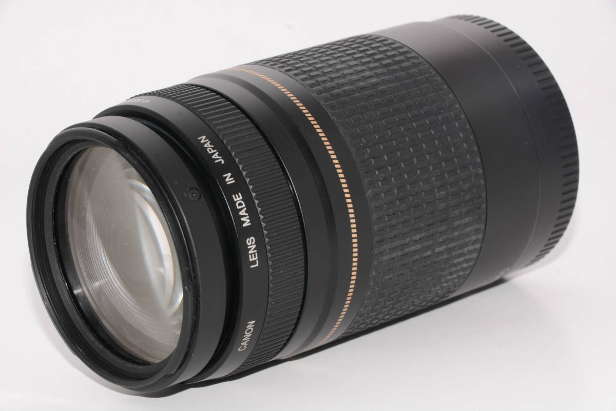 外観特上級】Canon キャノン ズームレンズ EF 75-300mm 1:4-5.6 Ⅱ