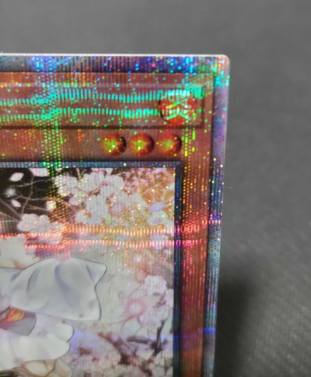 遊戯王 灰流うらら 灰流うらら クォーターセンチュリーシークレット