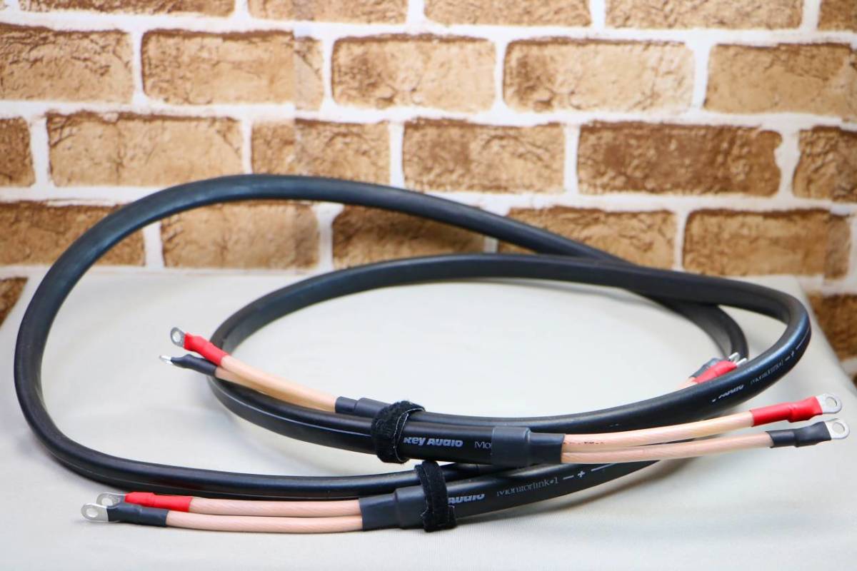 REY AUDIO レイオーディオ MonitorLink1 スピーカーケーブル ペア