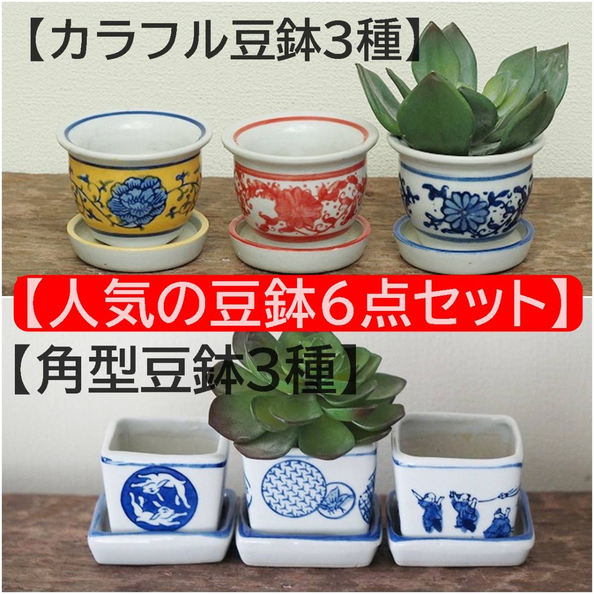皿付人気商品6点セット】カラフル丸3点 ＆青角型四角3点 ミニ植木鉢 豆