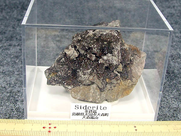 島根県・菱鉄鉱/大人気恒例の酔狂大胆１円スタート！！