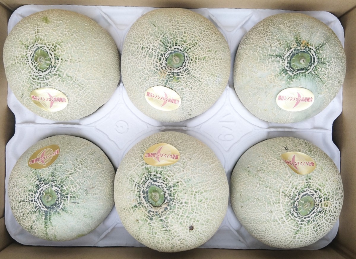 赤肉メロン【送料無料】ハウス栽培熊本産レノンメロン6玉☆1玉は約640gの6玉入り