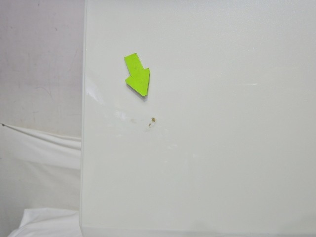ZYX10 C-HR 左リアドア 67004-10190 ※8181 | TINTAUNITA.COM