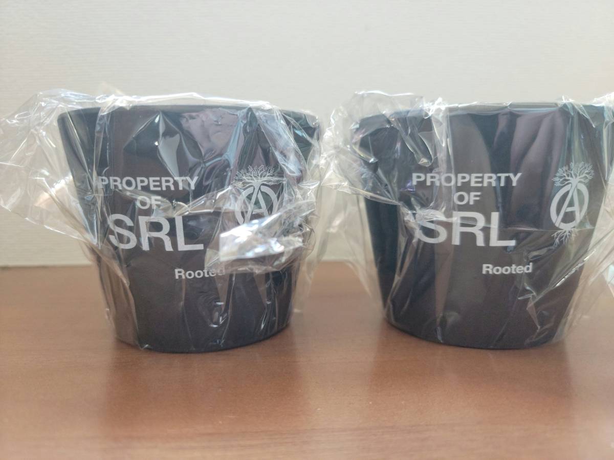 SRL TAPERED-M P-PLANT POT BLACK プラ鉢 Raw life factory VALIEM