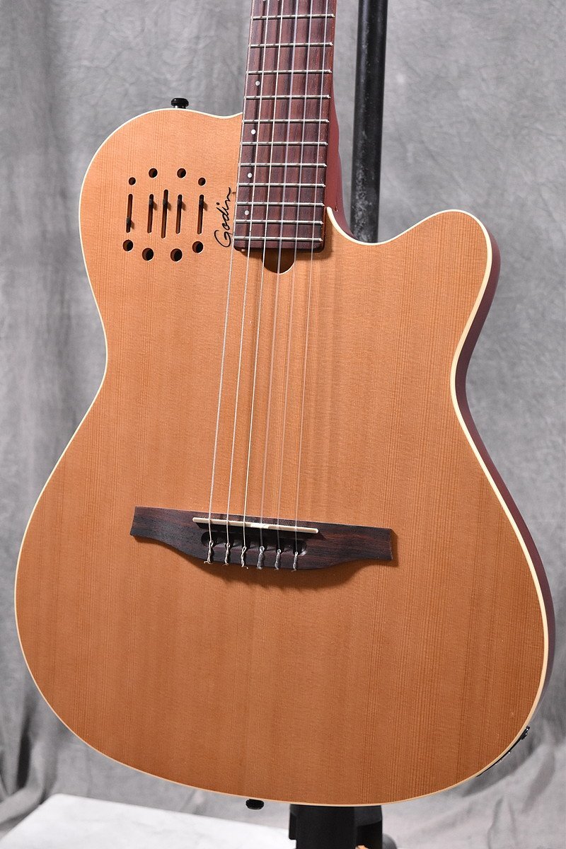 Godin/ゴダン エレガット/クラシックギター Multiac Nylon Encore