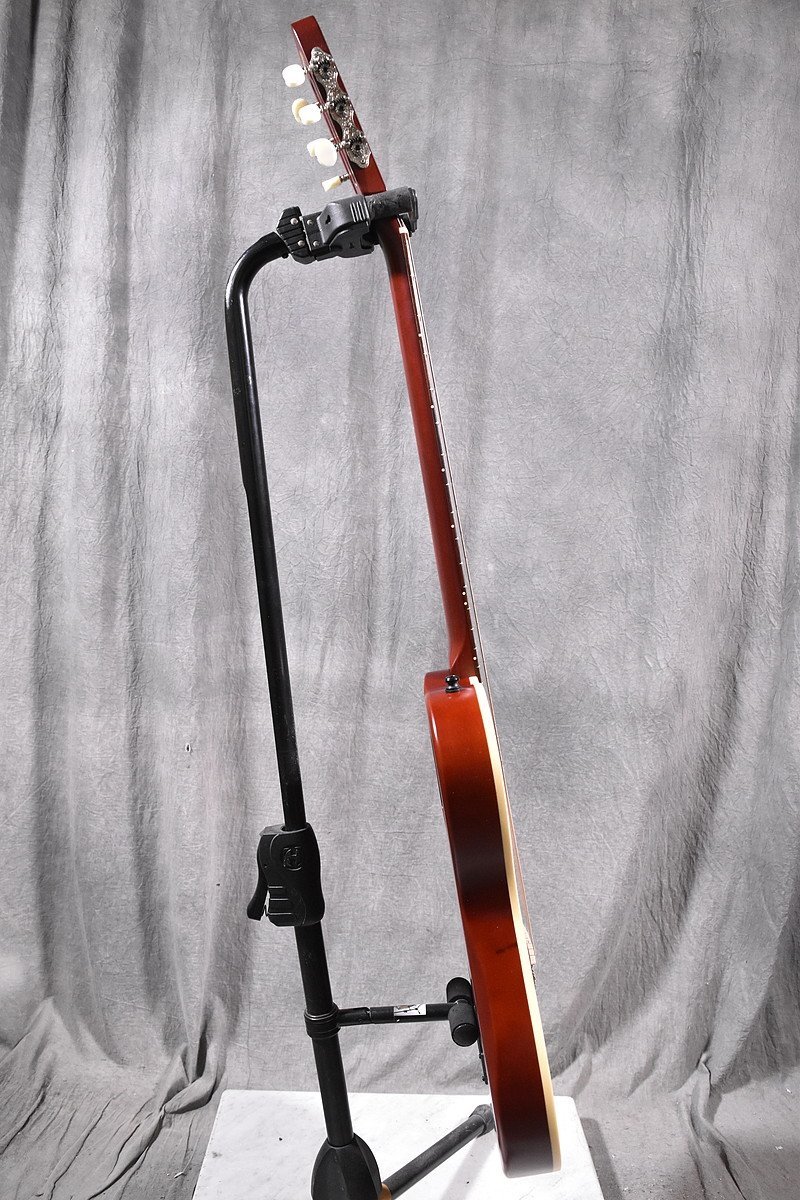 Godin/ゴダン エレガット/クラシックギター Multiac Nylon Encore