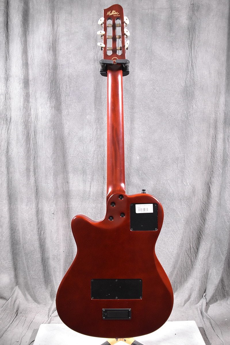 Godin/ゴダン エレガット/クラシックギター Multiac Nylon Encore