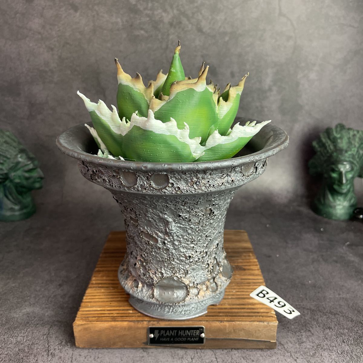 B493LLサイズ 植木鉢 陶器 検（invisible ink raw life factory SRL