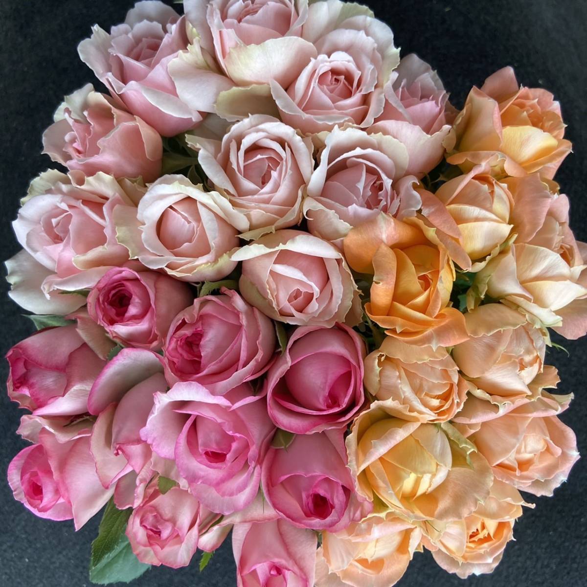 バラ（切り花・生花）おまかせミックス　40センチSMサイズ　30本　産地直送・鮮度抜群！　薔薇