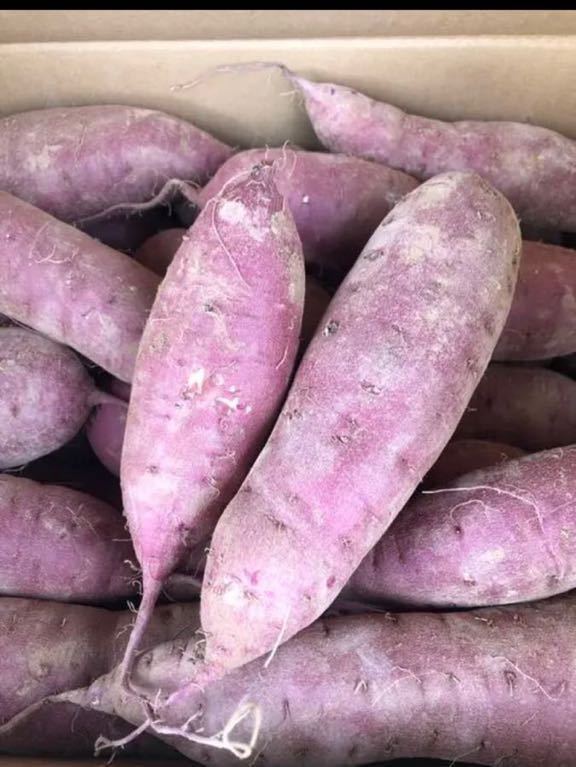 大分県豊後大野市超熟成紅あずま10kg