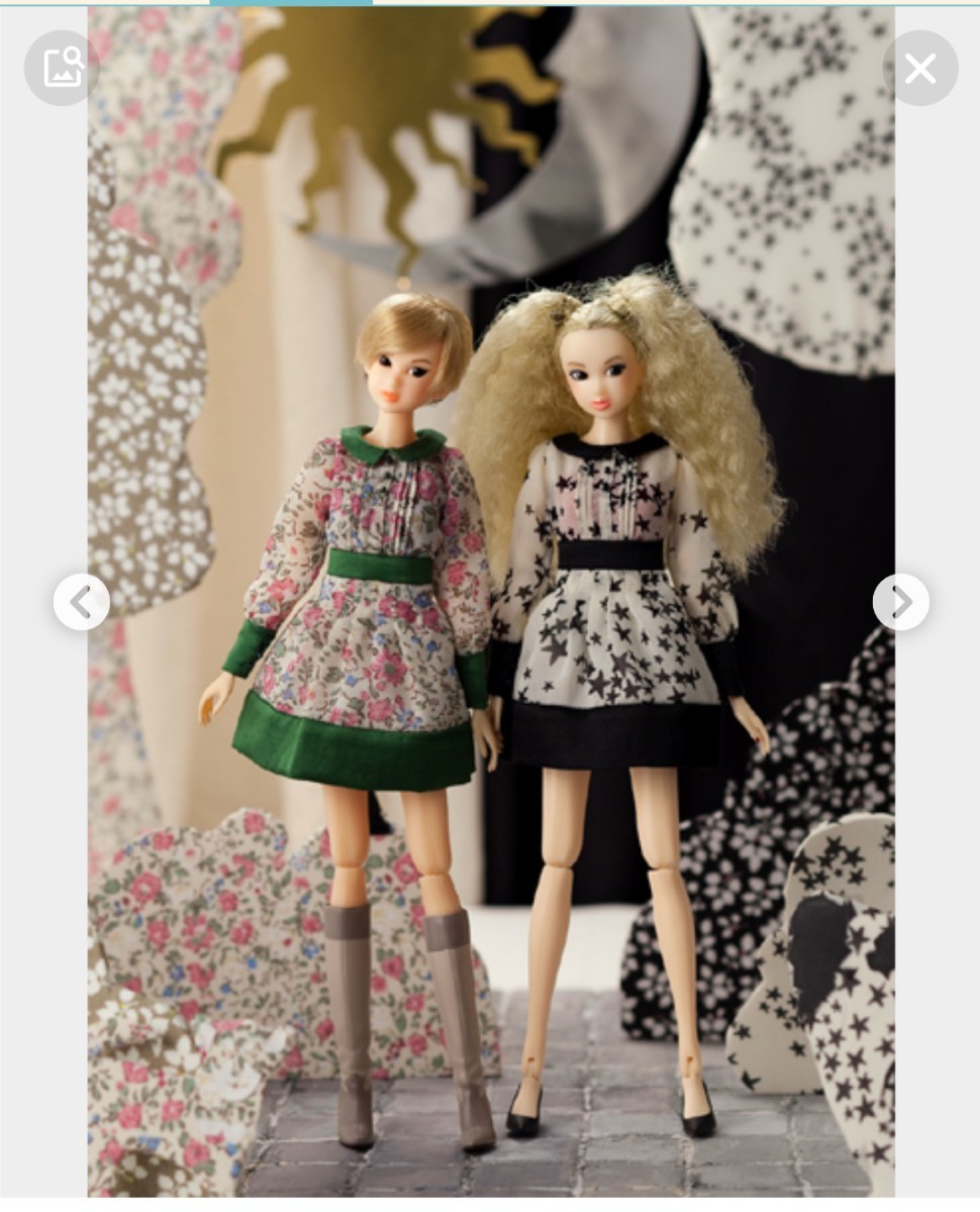 CCS09AW 花とチワワ アウトフィットセット 未開封 Aセット(momoko 