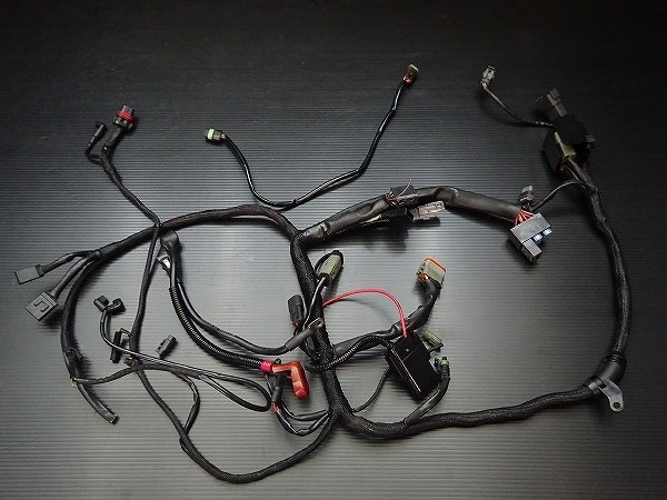 ハーレー ☆ スポーツスター XL883L 純正 メインハーネス ♪ E6105