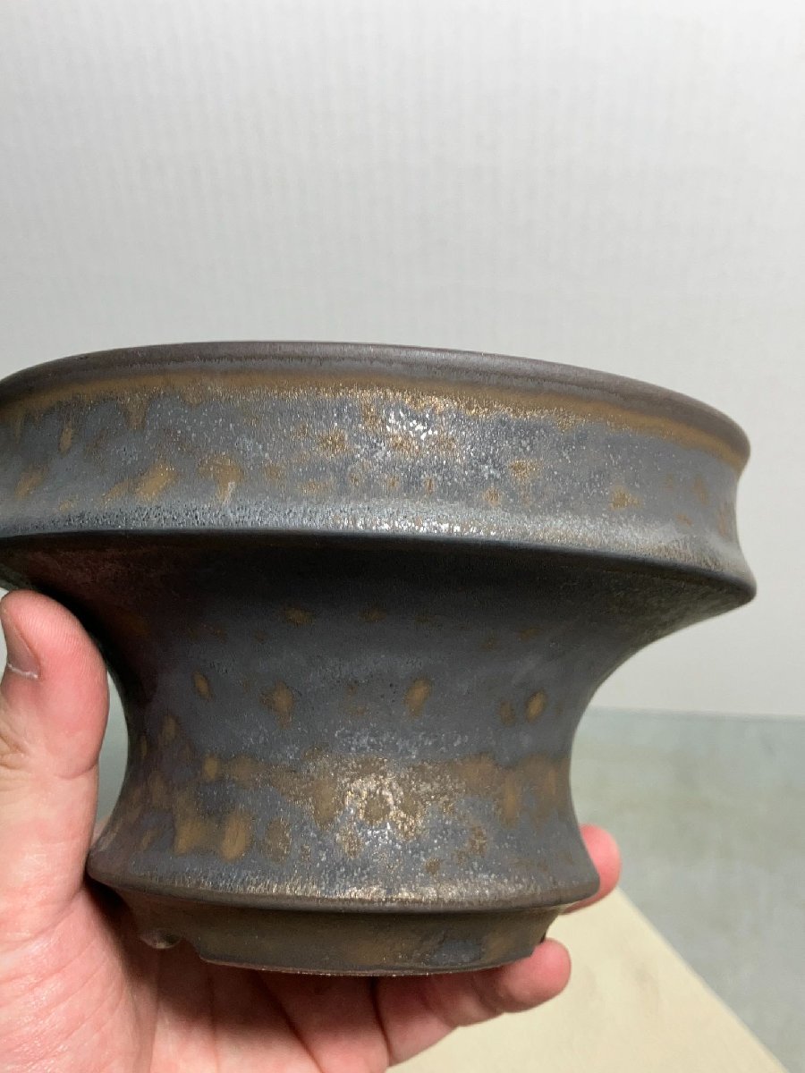 鉢033 「新品鉢」 植木鉢 陶器鉢【塊根植物・多肉植物・コーデックス向け・グラキリスなどに最適・鉢底穴アリ】