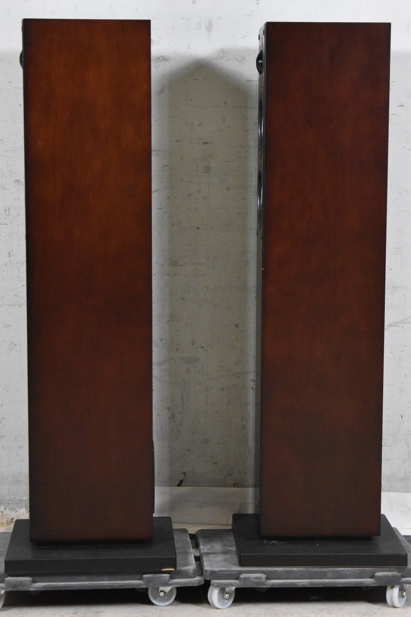 ONKYO オンキョー トールボーイスピーカーペア D-309E