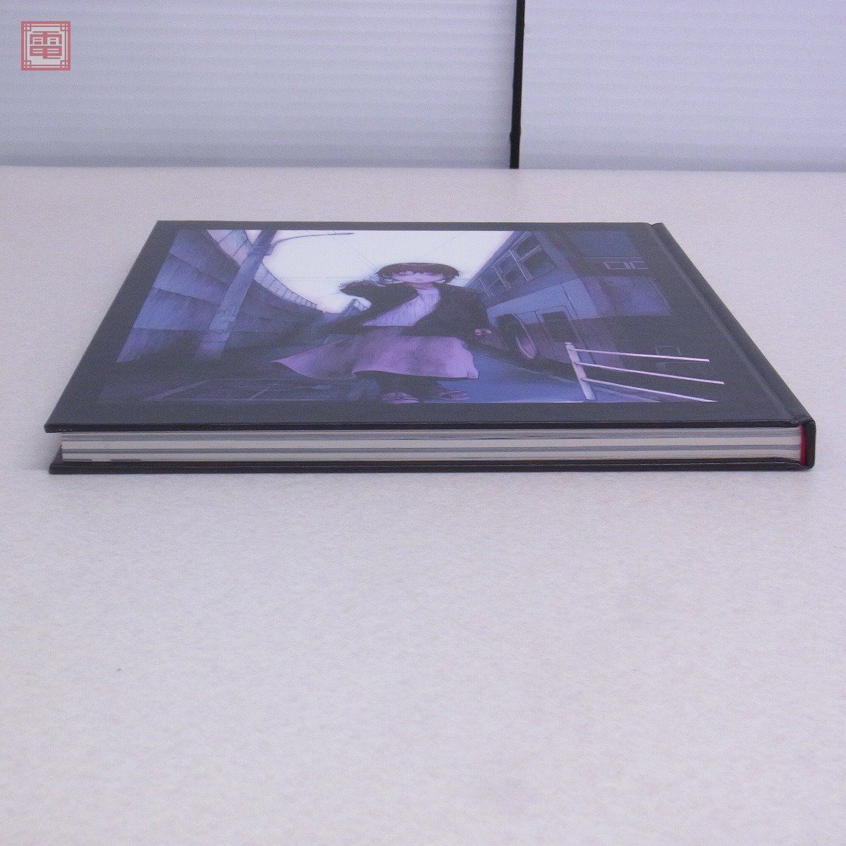 書籍 シリアルエクスペリメンツ レイン lain 画集 オムニプレゼンス an 