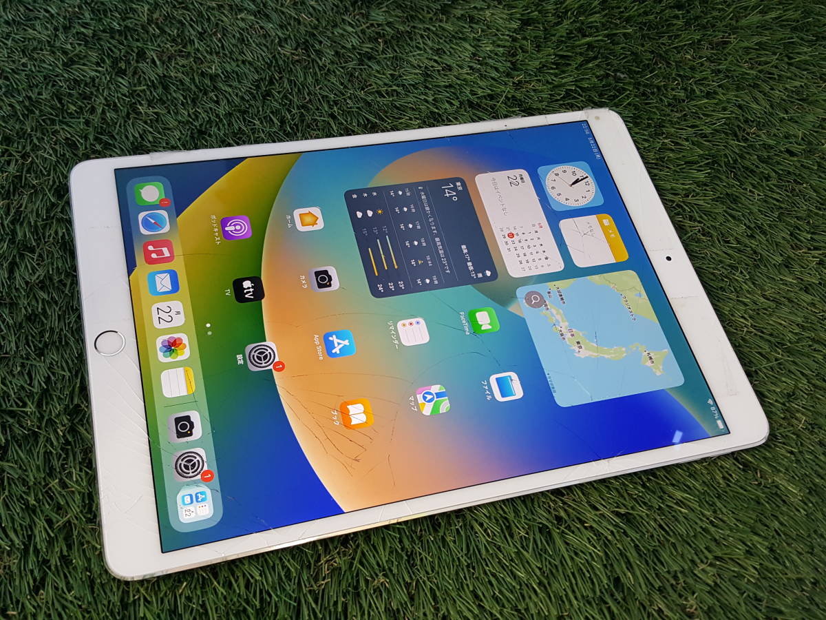 Apple iPad mini 第5世代 MUXE2J/A A2124 256GB Wi-Fi+Cellular 利用 