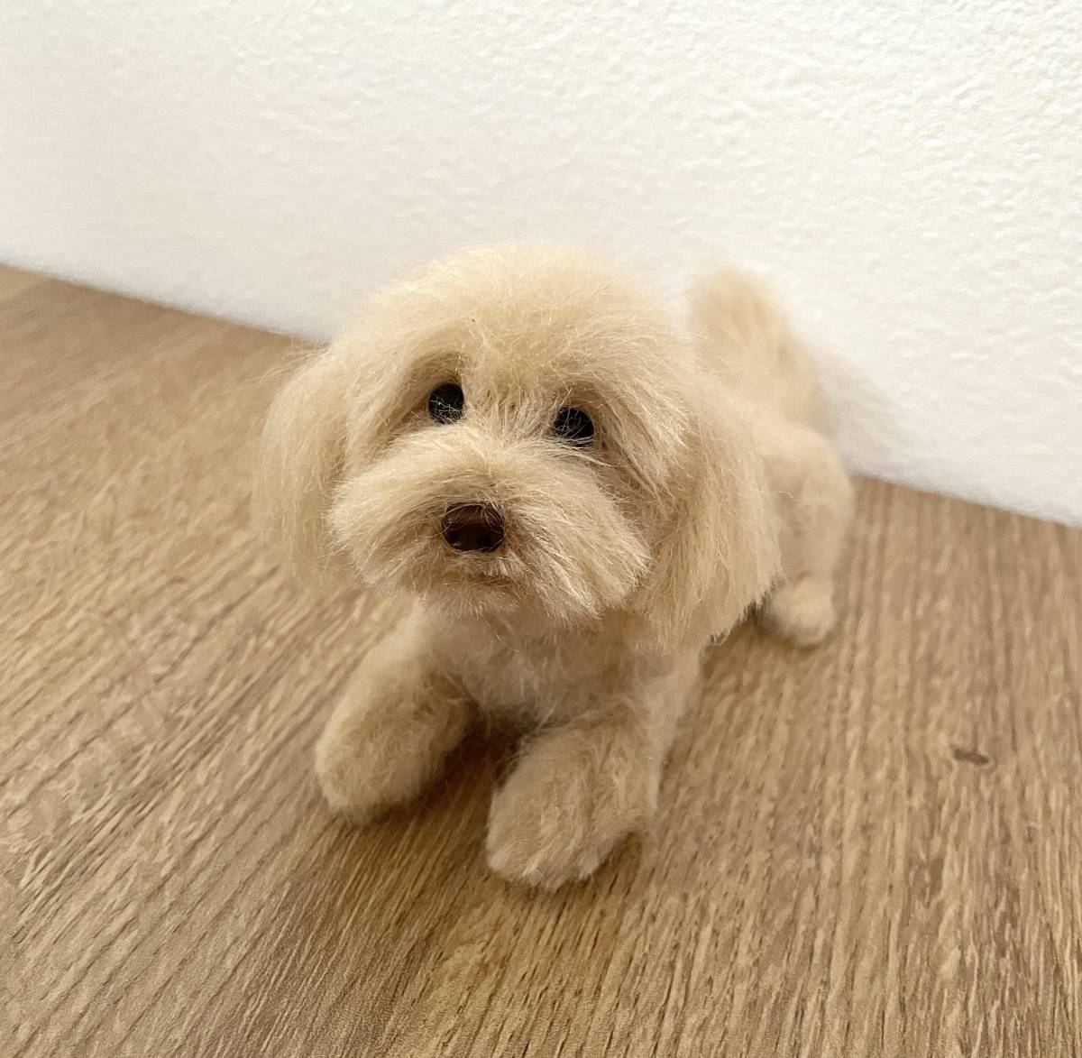 羊毛フェルト マルプー （T303🌸マルプー犬の羊毛フェルト  