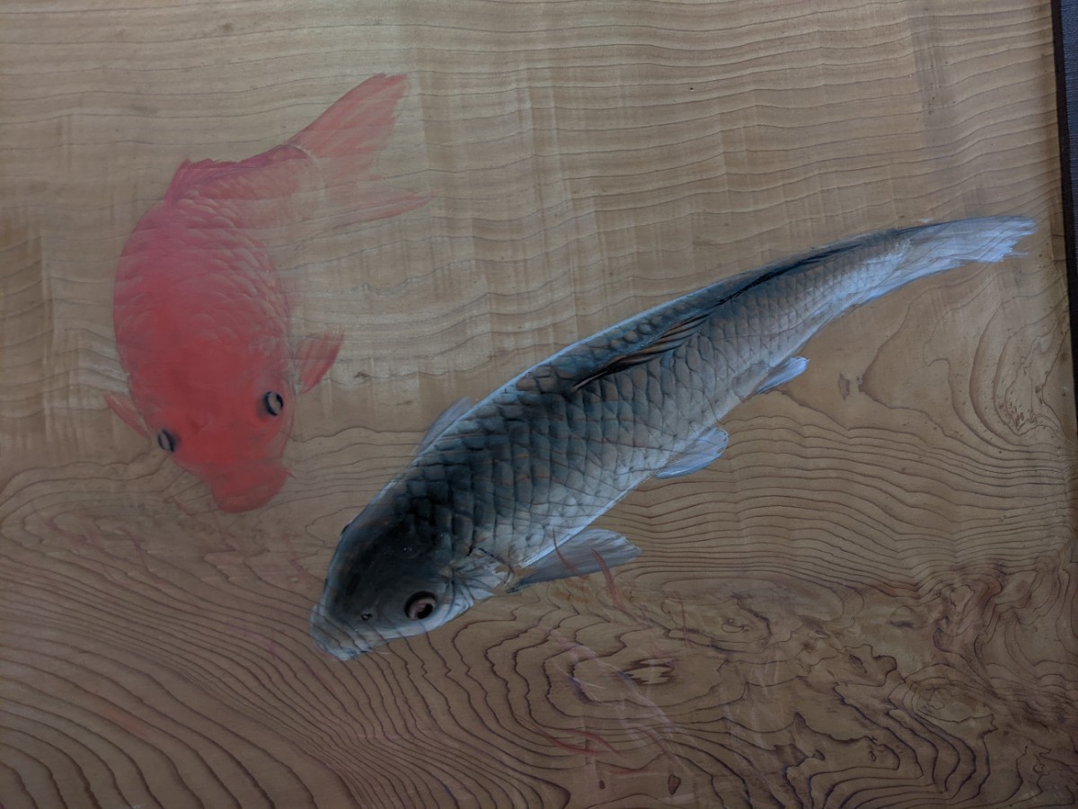真作 森田光達 板絵 日本画 「鯉の光達」 双鯉の図 額横76.5cm 額縦 