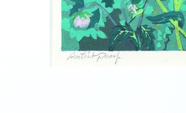 北岡文雄 神秘の屋久島 木版画 版画 絵画 10号 北岡文雄 神秘の屋久島 木版画 版画 絵画 10号 北岡文雄 神秘の屋久島